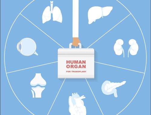 “Securing the U.S. Organ Procurement and Transplantation Network Act” Signed into Law